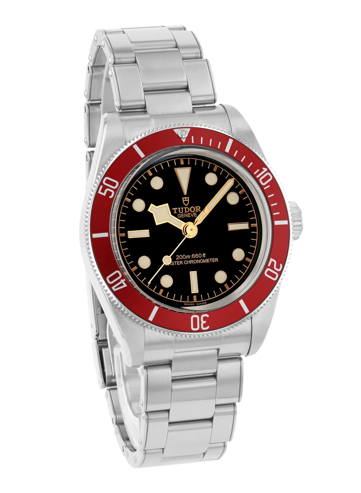 Tudor Black Bay