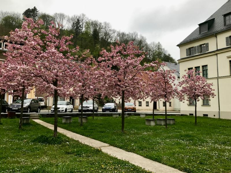 10 Jahre Uhrenmuseum Glashütte