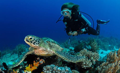 Certina auf Tour de Turtles