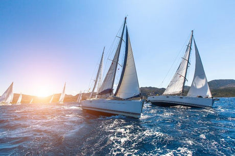 Omega America's Cup