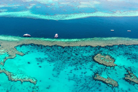 Oris Great Barrier Reef