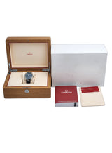 Omega Seamaster Aqua Terra 150M Co-Axial Master Chronometer 41mm Ref. 220.12.41.21.03.002
