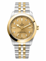 Tudor Black Bay 39 S&G