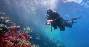 Diver with diving watch