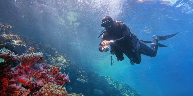 Diver with diving watch