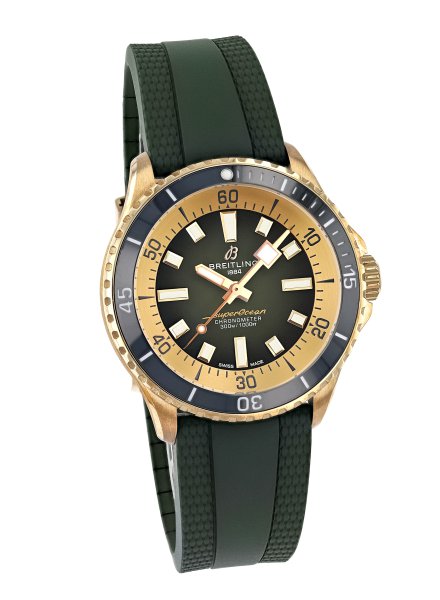 PL125480-N17375201L1S1