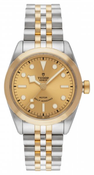 Tudor Black Bay 36 S&G Tudor Black Bay 36 S&G