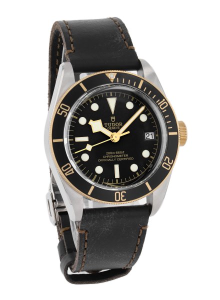 Tudor Black Bay S&G