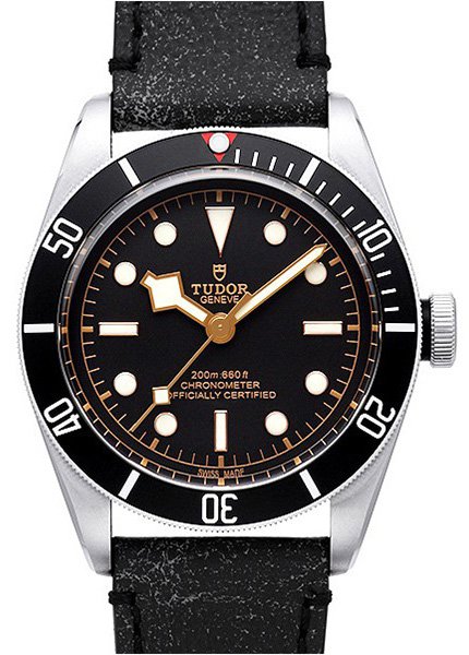 Tudor Black Bay