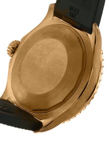 PL125480-N17375201L1S1_99